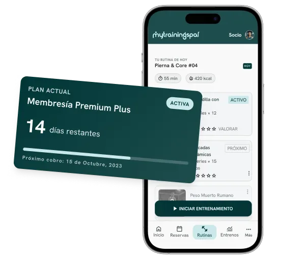 Compra y renovación de bonos y cuotas en MTP